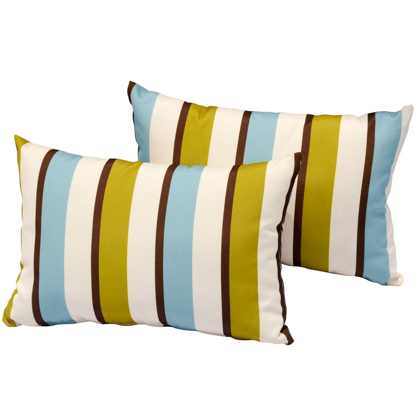OVIOS 17.7'' x 11.8'' Rectangular Pillow Cover & Insert (Set of 2)